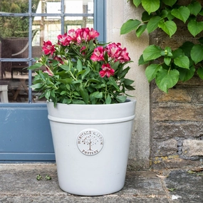 Heritage Pot White hanging garden planters for small spaces