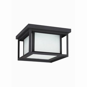 Hunnington 2-Light Outdoor Ceiling LightWeatherproof outdoor lighting