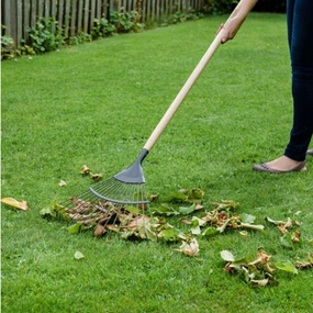 Kent and  Stowe Long Leaf Rake premium quality garden tool set with case
