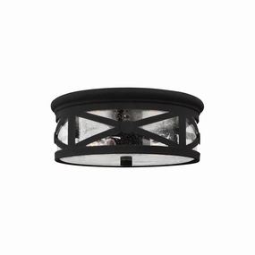 Lakeview Two Light Outdoor Ceiling Flush MountWeatherproof outdoor lighting