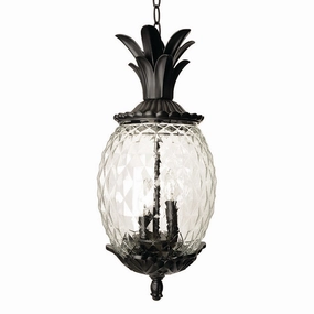 Lanai Outdoor PendantWeatherproof outdoor lighting