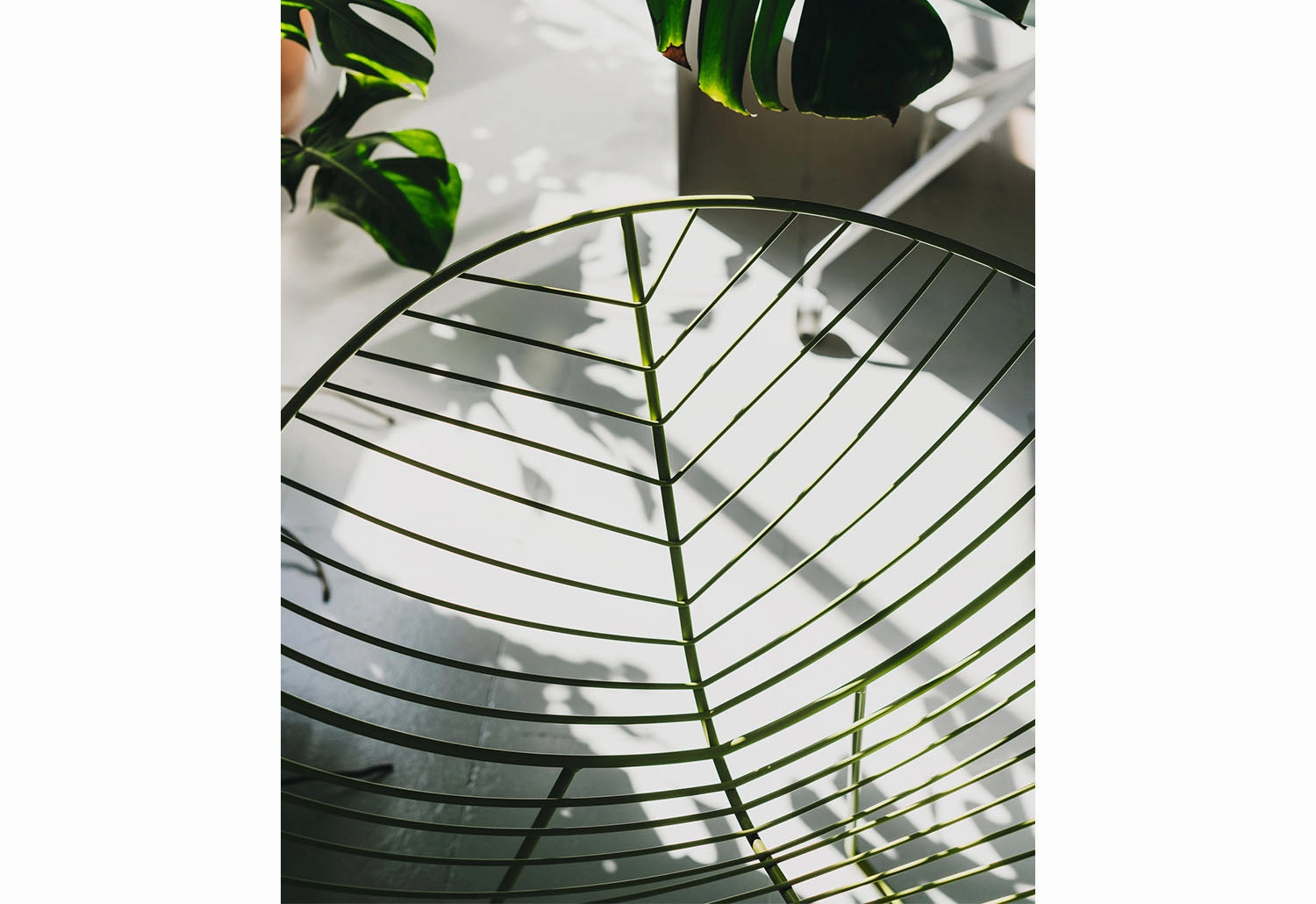 Leaf Outdoor Lounge Chair