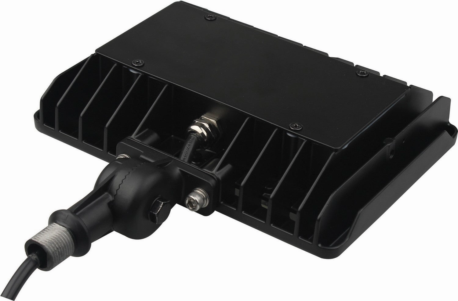 LED Flood Light Bronze