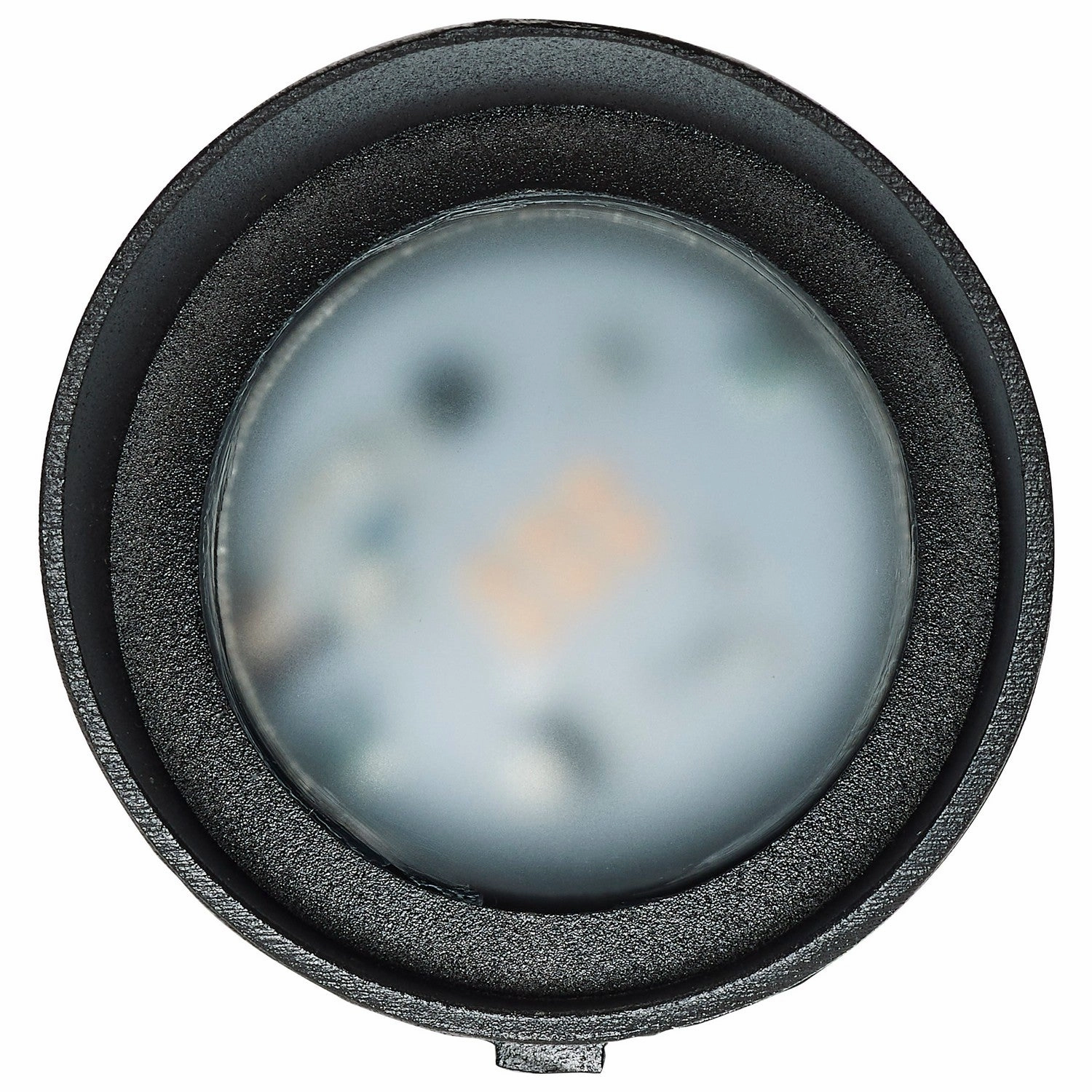 LED Flood Light Matte Black