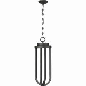 Leland 1-Light Outdoor Chain Mount Ceiling FixtureWeatherproof outdoor lighting