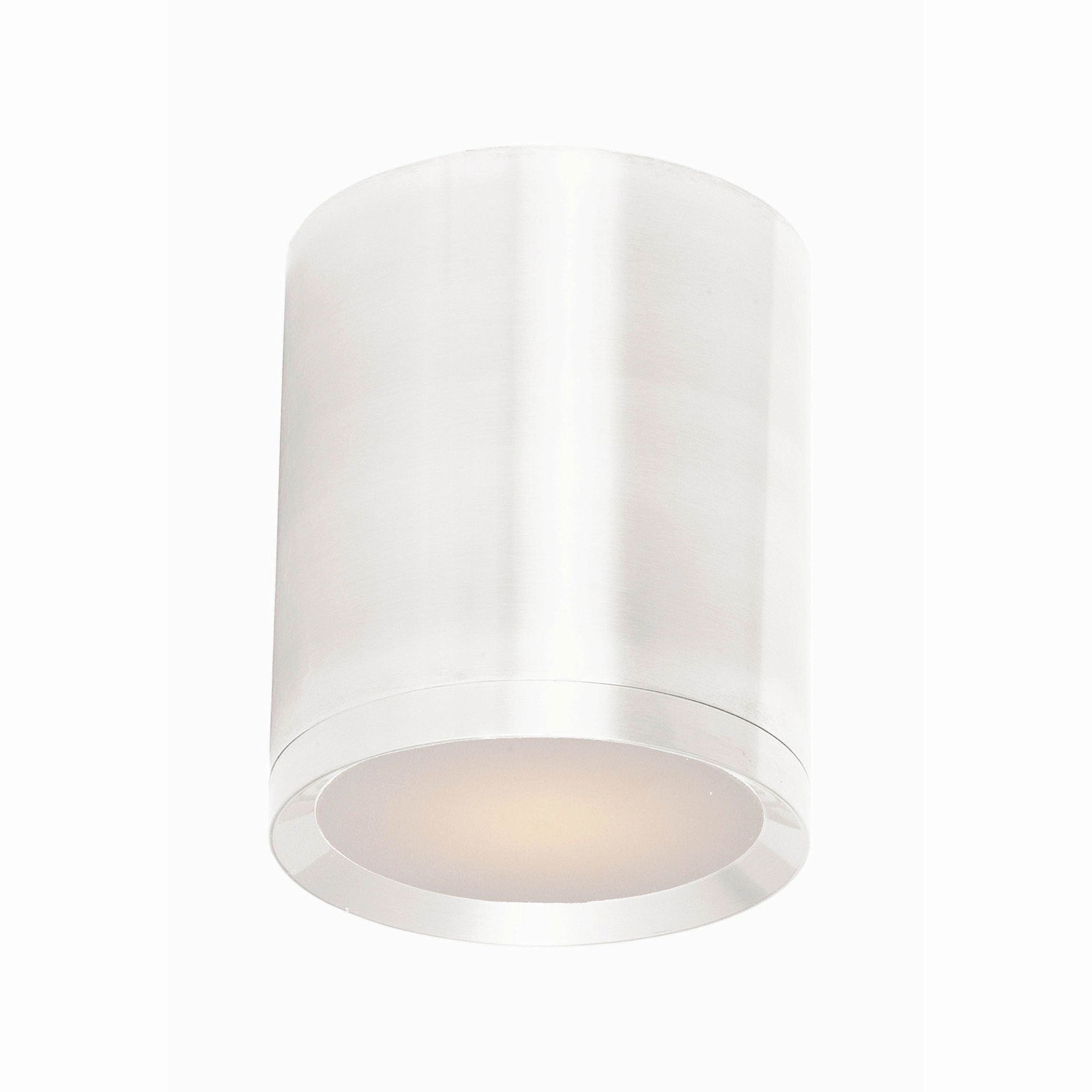 Lightray LED 1-Light Outdoor Ceiling Light