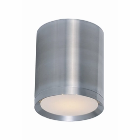 Lightray LED 1-Light Outdoor Ceiling LightWeatherproof outdoor lighting