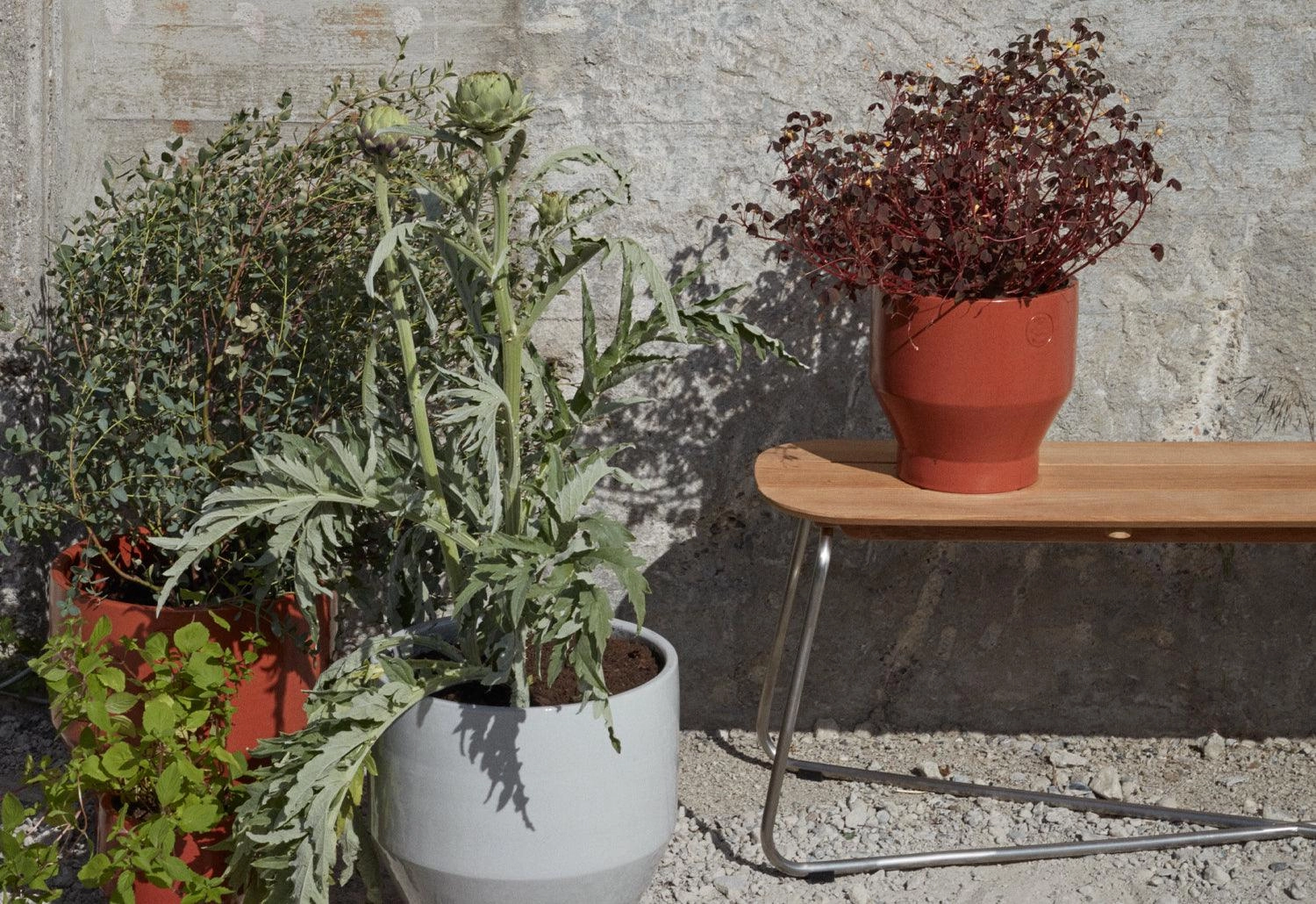 Lilium Bench