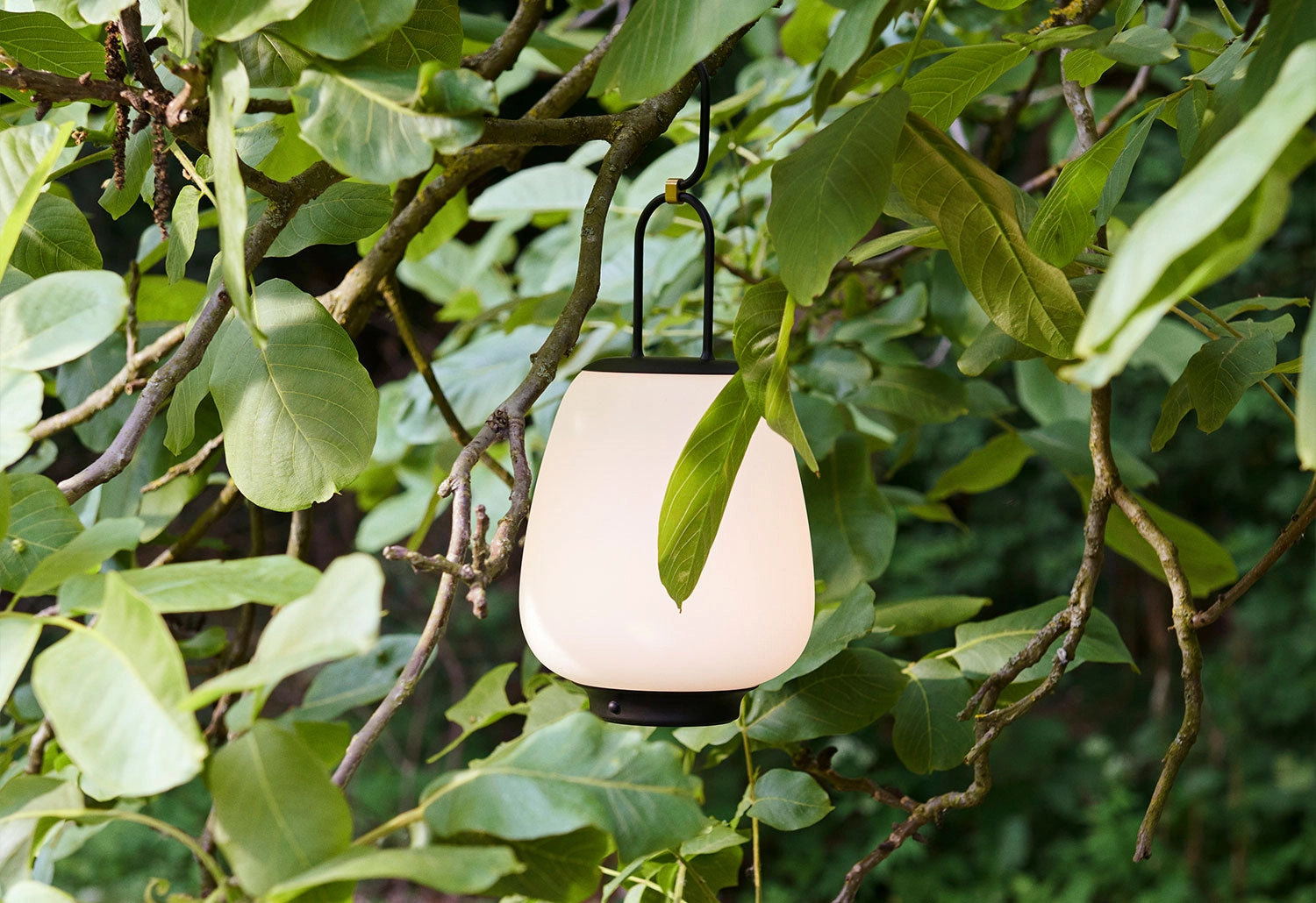 Lucca Portable Lamp