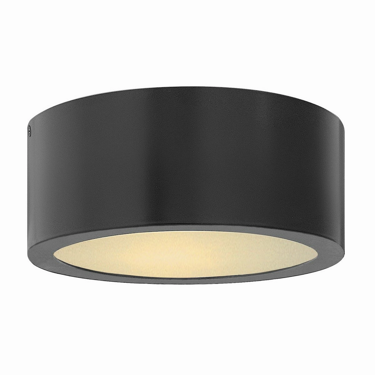 Luna Outdoor Ceiling Light