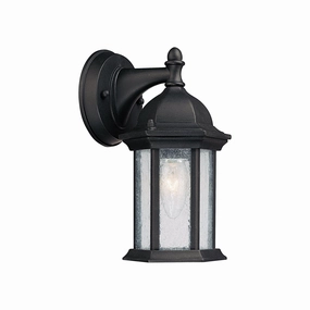 Main Street 1-Light Outdoor Wall LanternWeatherproof outdoor lighting