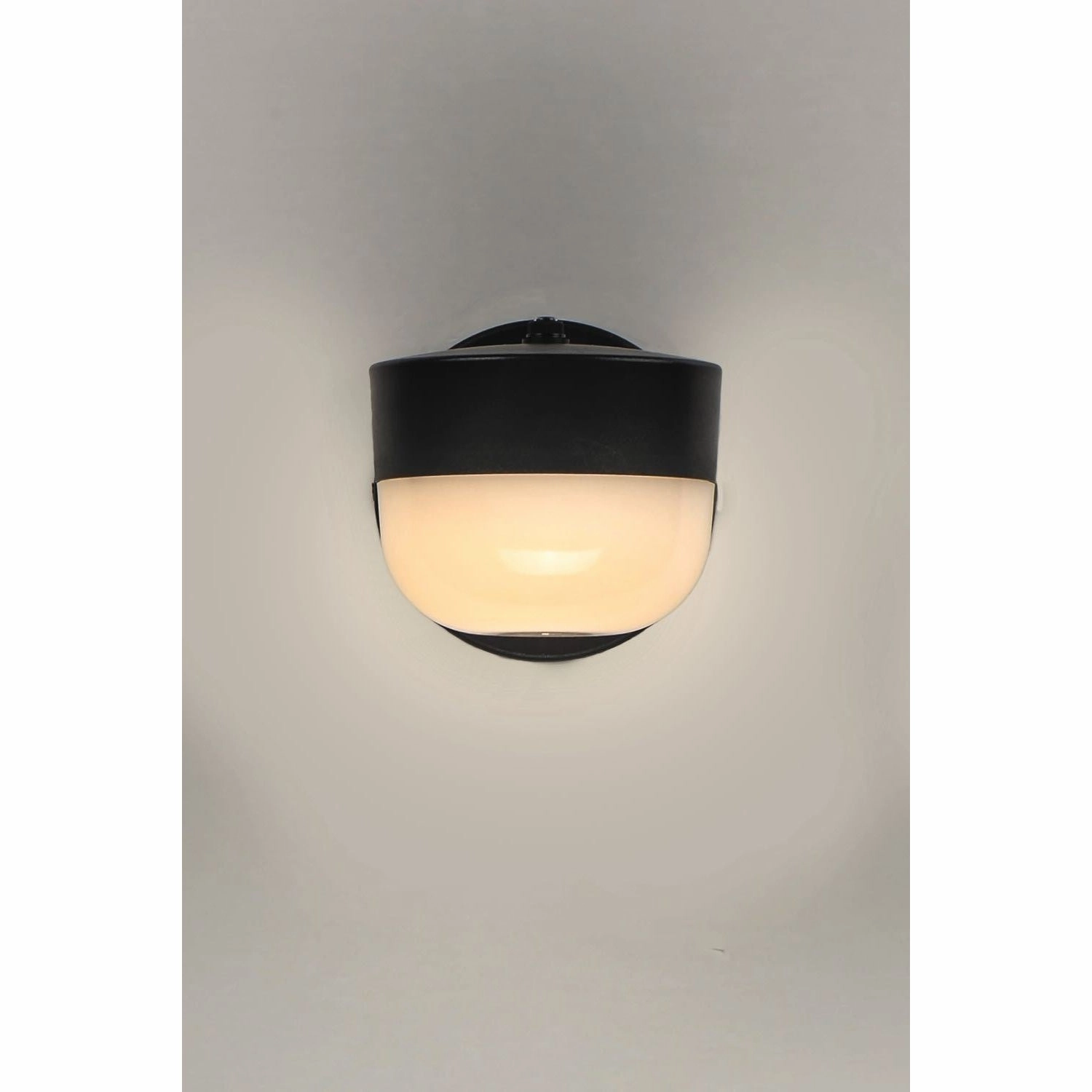 Michelle Outdoor Wall Light
