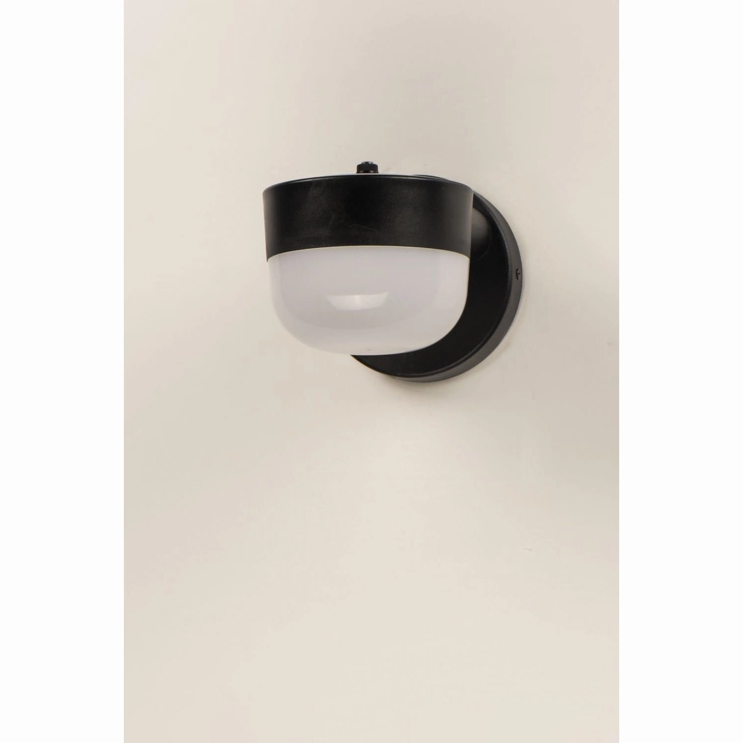 Michelle Outdoor Wall Light