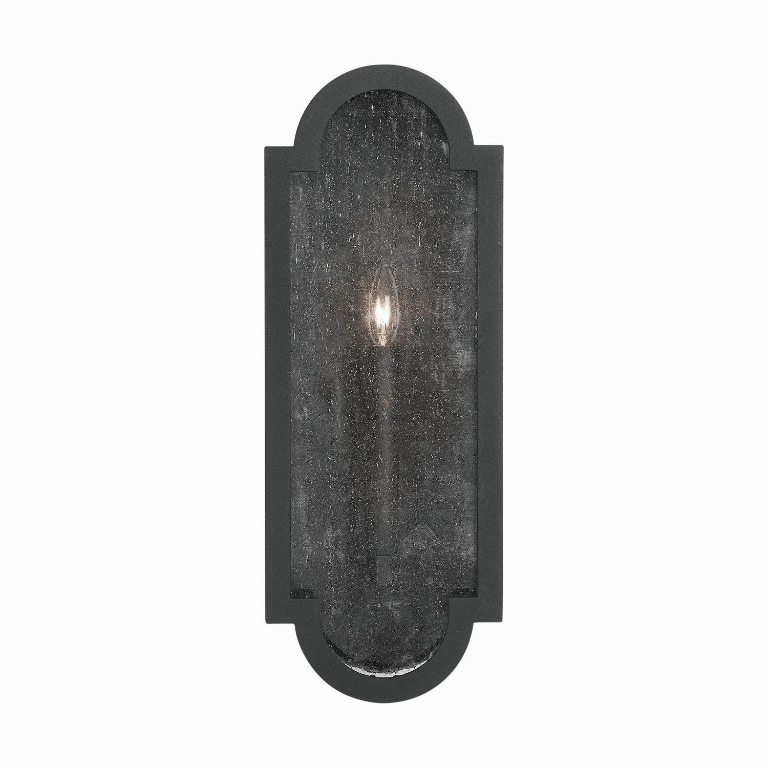 Monroe 1-Light Wall Mount