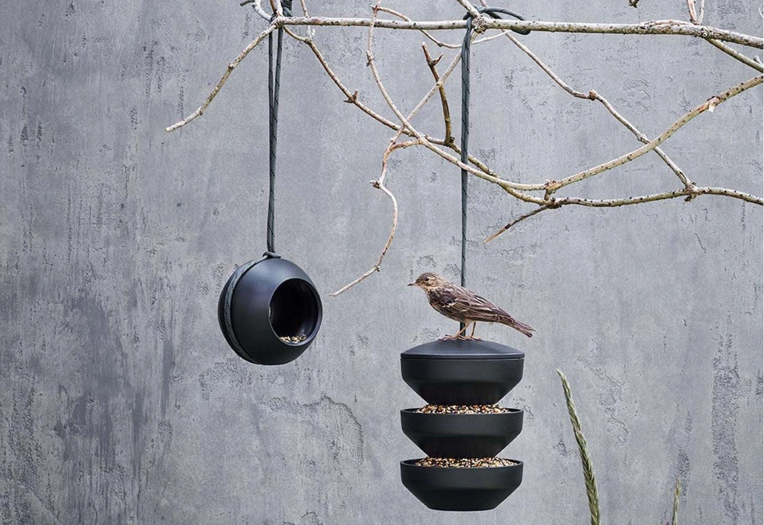 Multi Bird Feeder