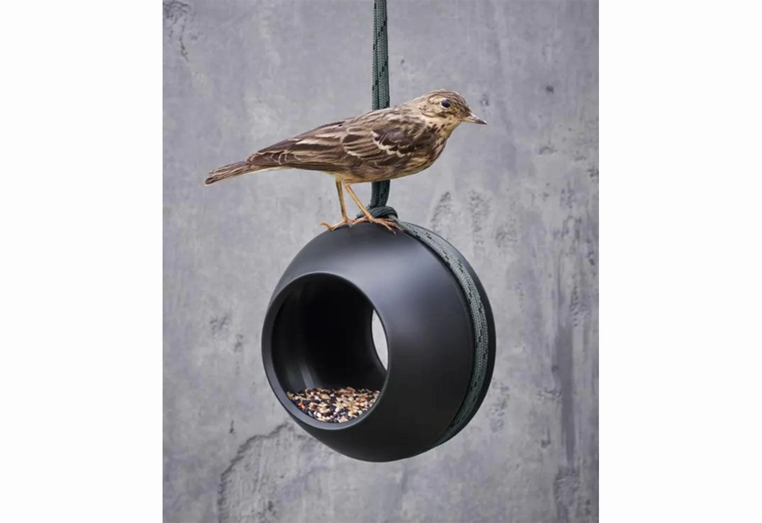 Multi Bird Feeder