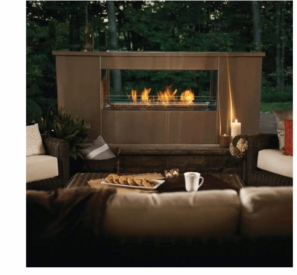 Napoleon Galaxy 48 See Through Outdoor Gas Fireplace GSS48STE