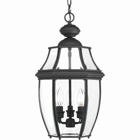 New Haven Outdoor Ceiling LightWeatherproof outdoor lighting