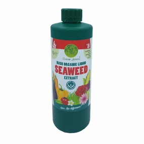 Ocean Leaves Irish Organic Liquid Seaweed Extract 1 Litre premium quality garden tool set with case