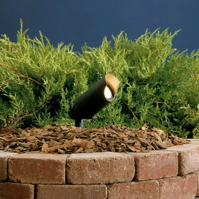 One Light Accent Textured BlackColor changing landscape spotlights