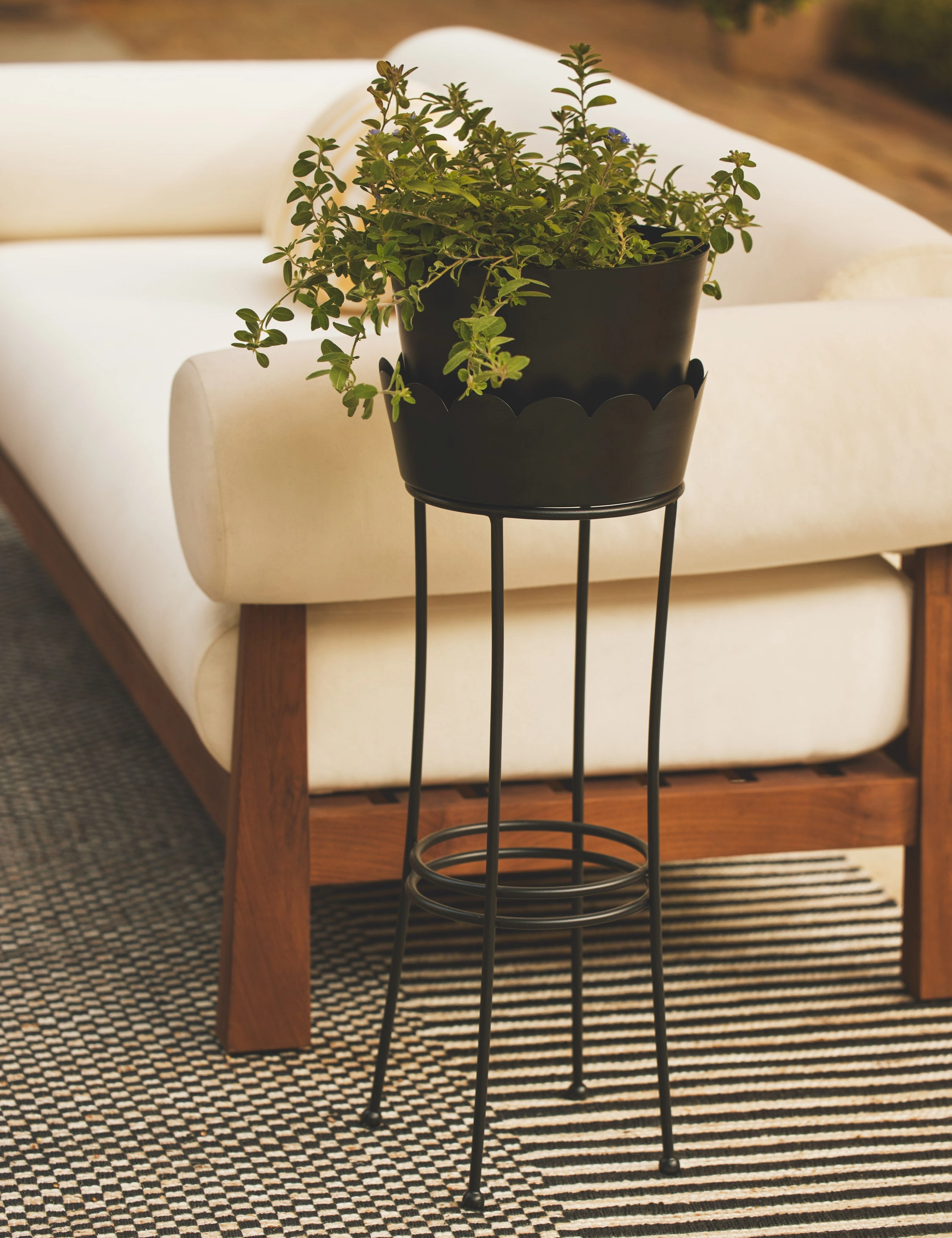 Onyx Indoor/Outdoor Planter mini herb garden planters for kitchen
