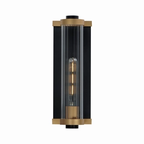 Opulent One Light Outdoor Wall Sconce Black / Antique BrassOutdoor wall sconces with motion sensor