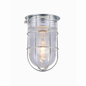 Outdoor Barn Ceiling/Wall LightWeatherproof outdoor lighting