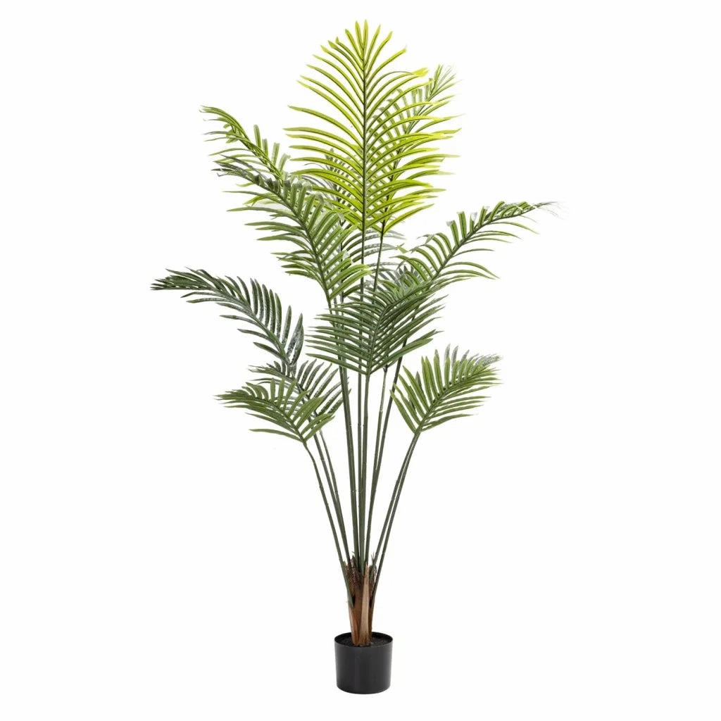 PALM PLANT IN POT - 160cmoutdoor patio furniture set