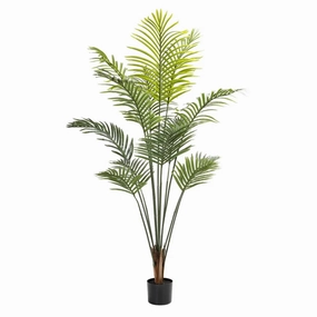 PALM PLANT IN POT - 160cmoutdoor patio furniture set