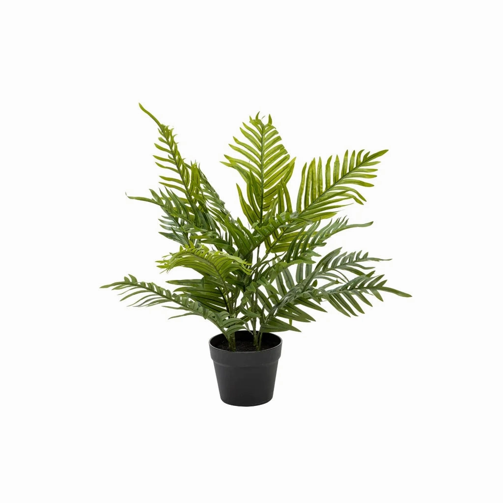 PALM PLANT IN POT - 60cmoutdoor patio furniture set