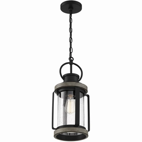 Parker 1-Light Outdoor Hanging LanternWeatherproof outdoor lighting