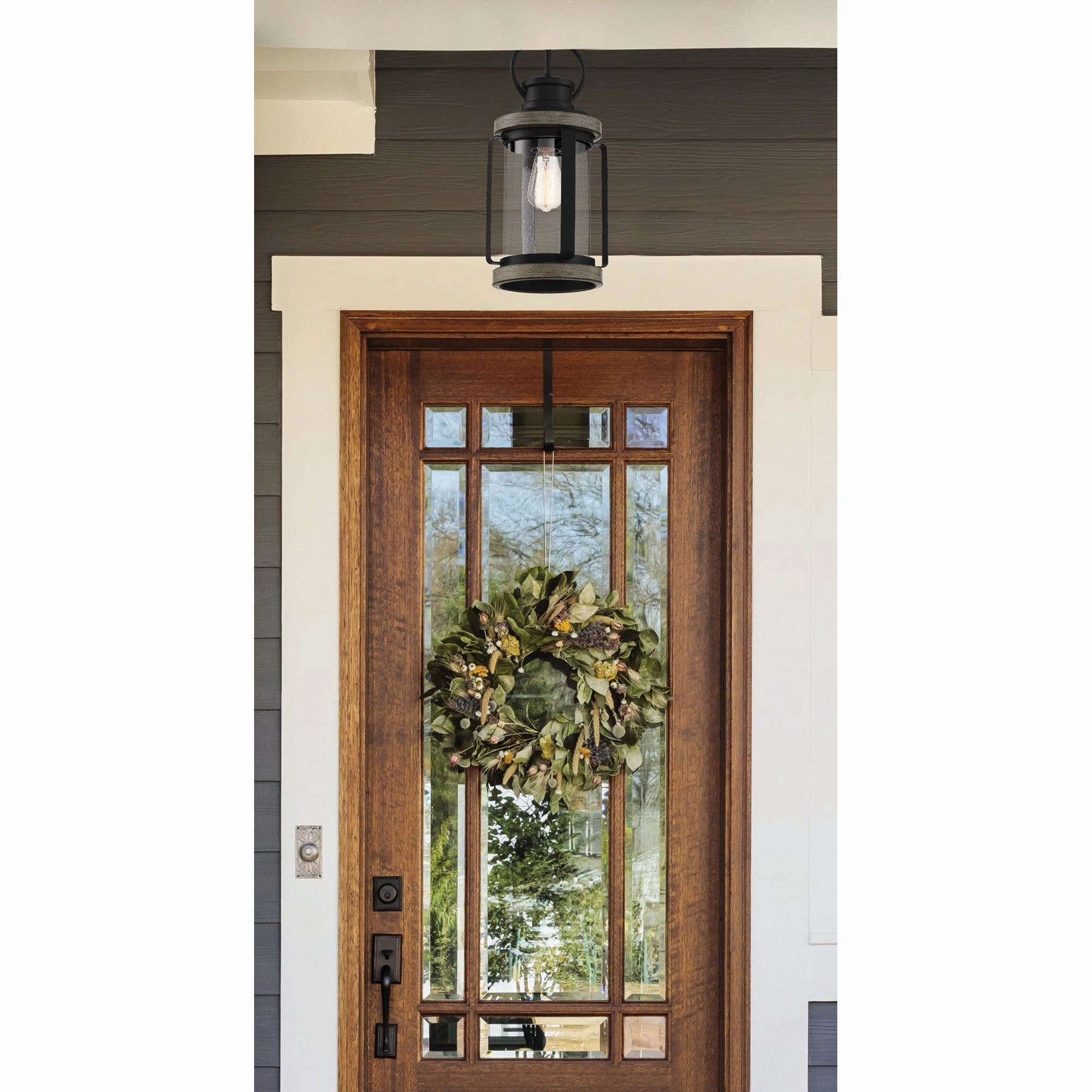 Parker 1-Light Outdoor Hanging Lantern