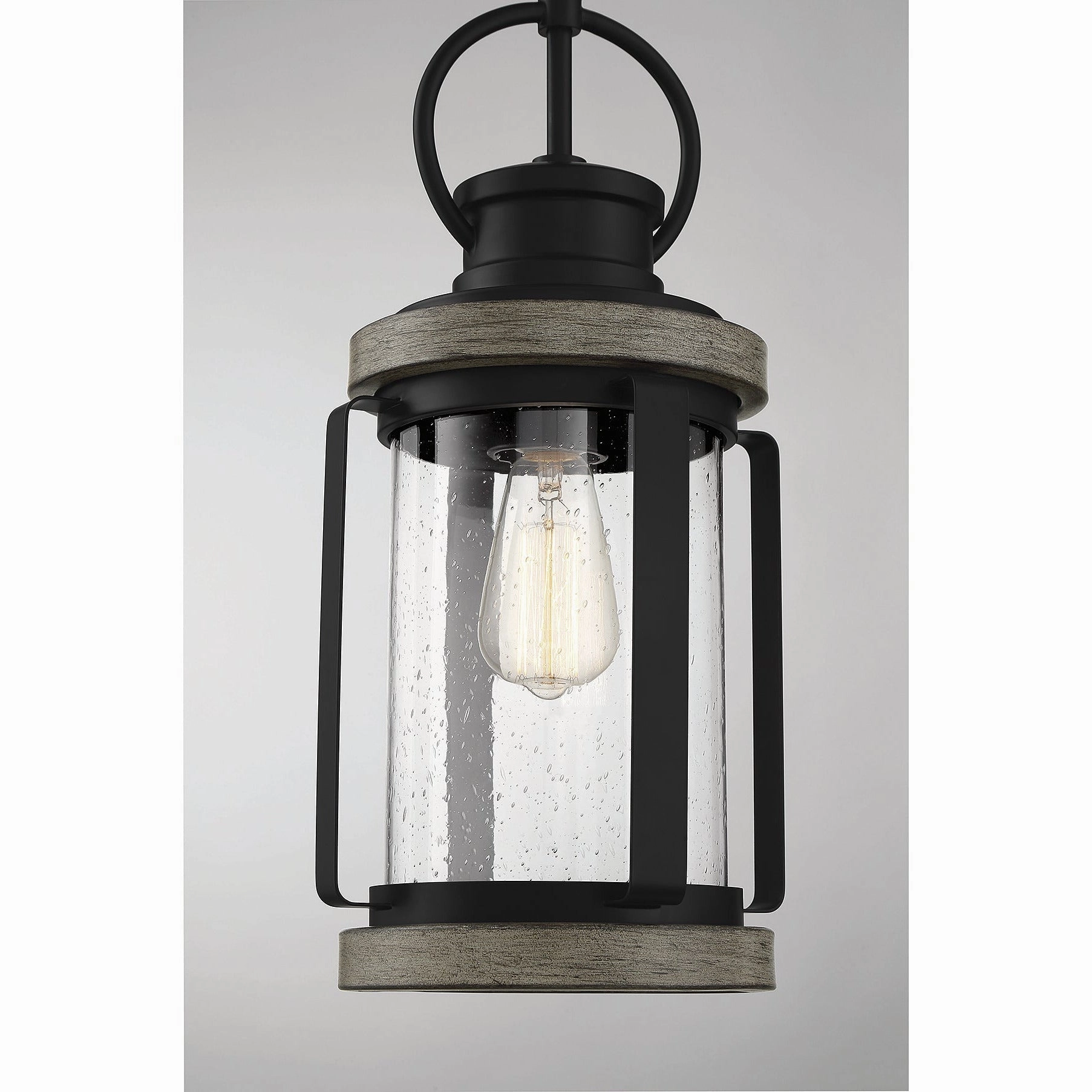Parker 1-Light Outdoor Hanging Lantern