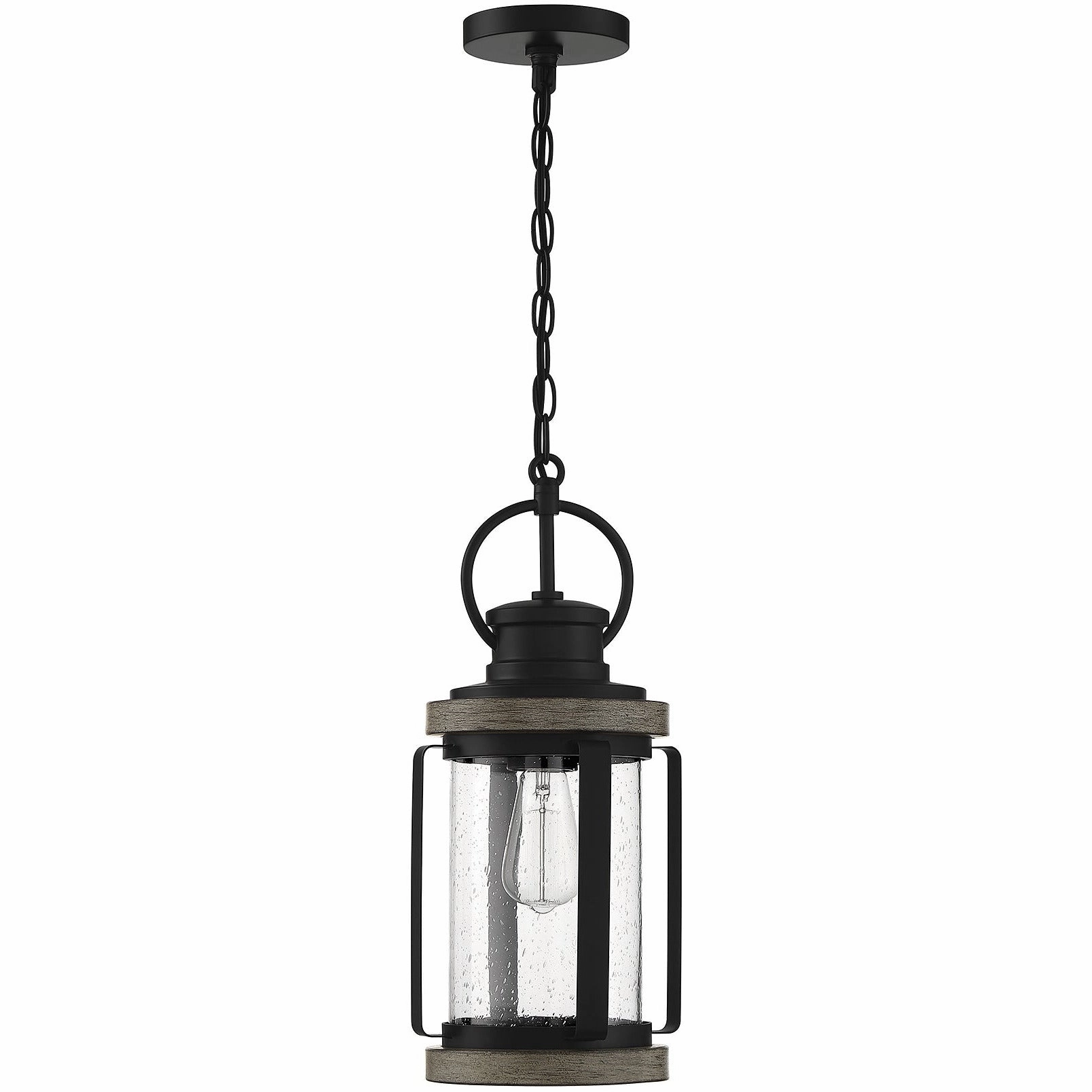 Parker 1-Light Outdoor Hanging Lantern