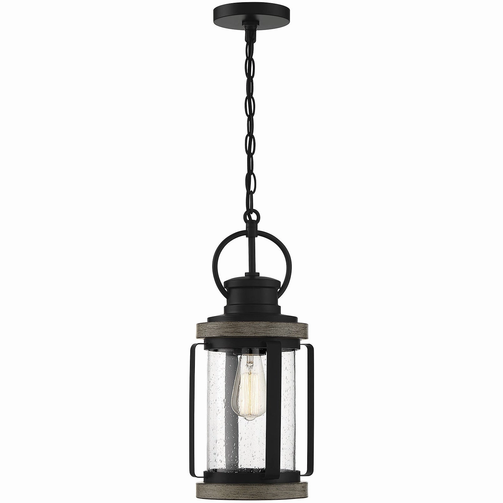 Parker 1-Light Outdoor Hanging Lantern