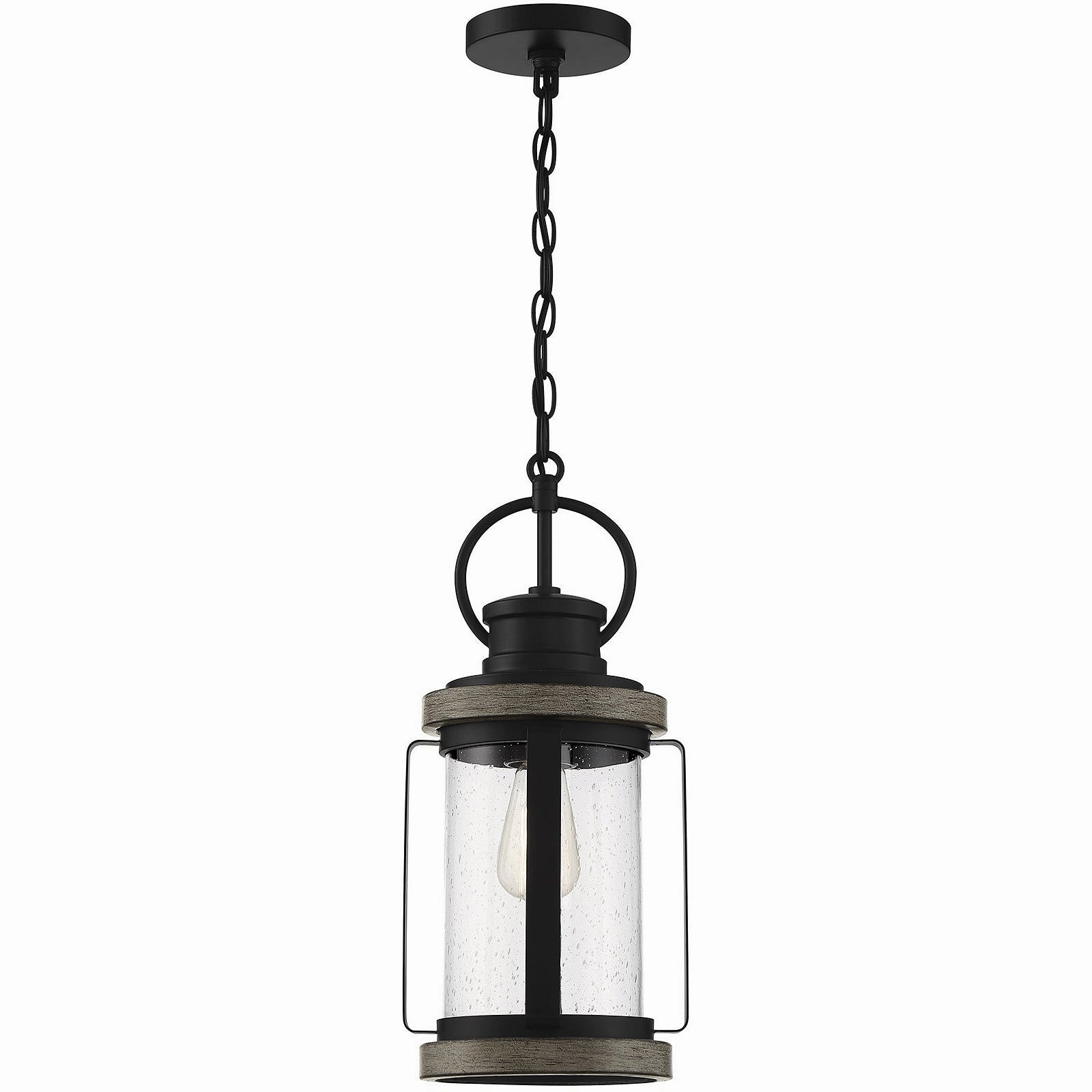 Parker 1-Light Outdoor Hanging Lantern