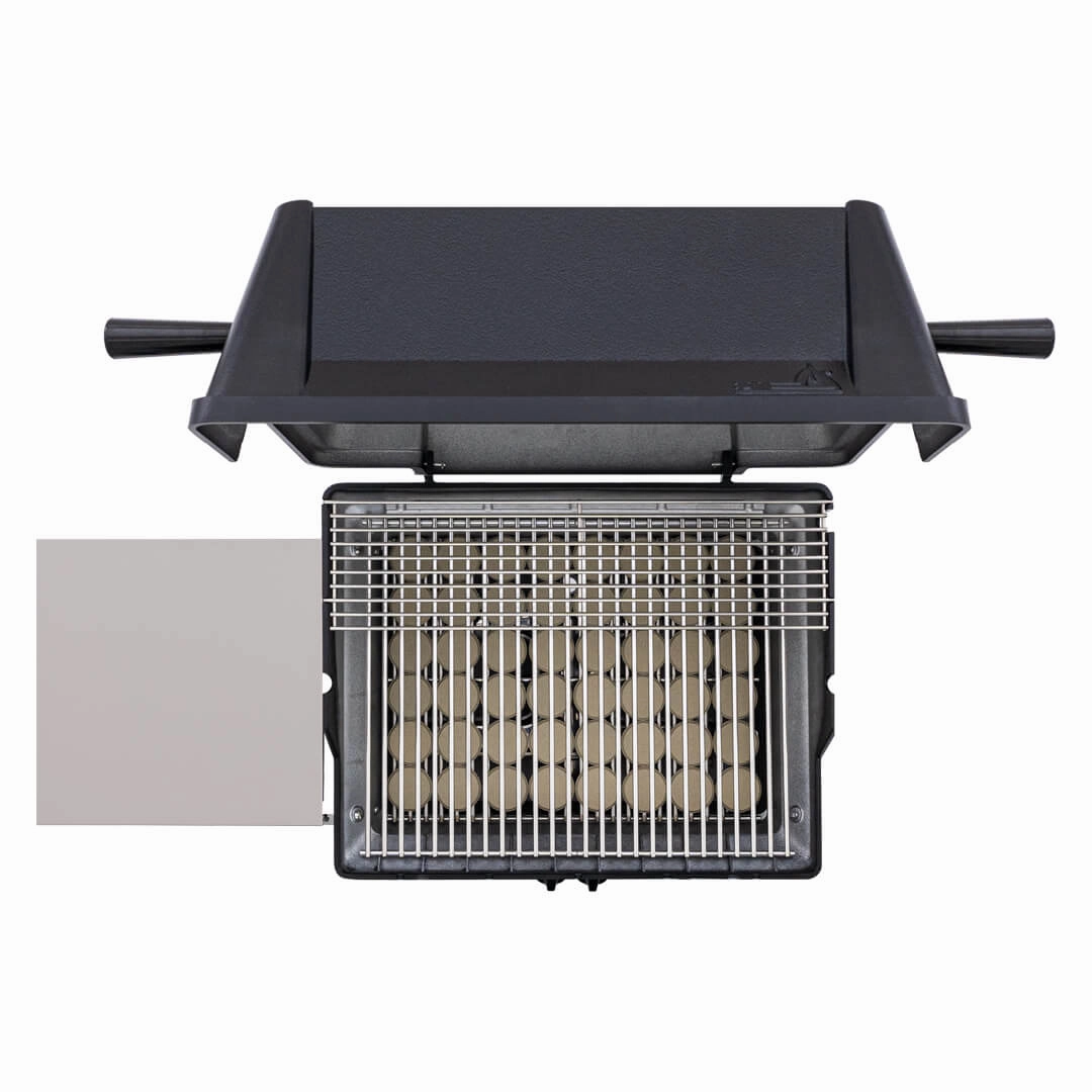 PGS Grills A Series 20-Inch Cast Aluminum Black Gas Grill - A30