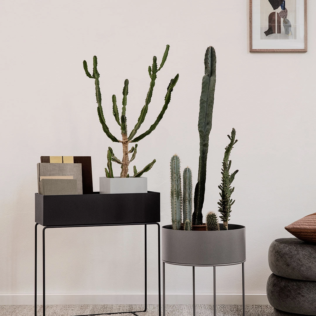 Plant Box