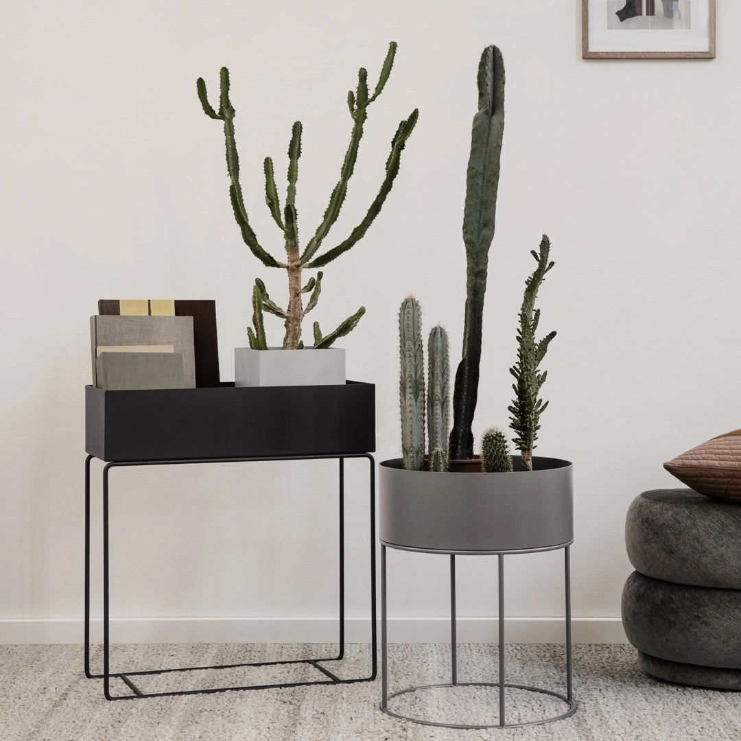 Plant Box