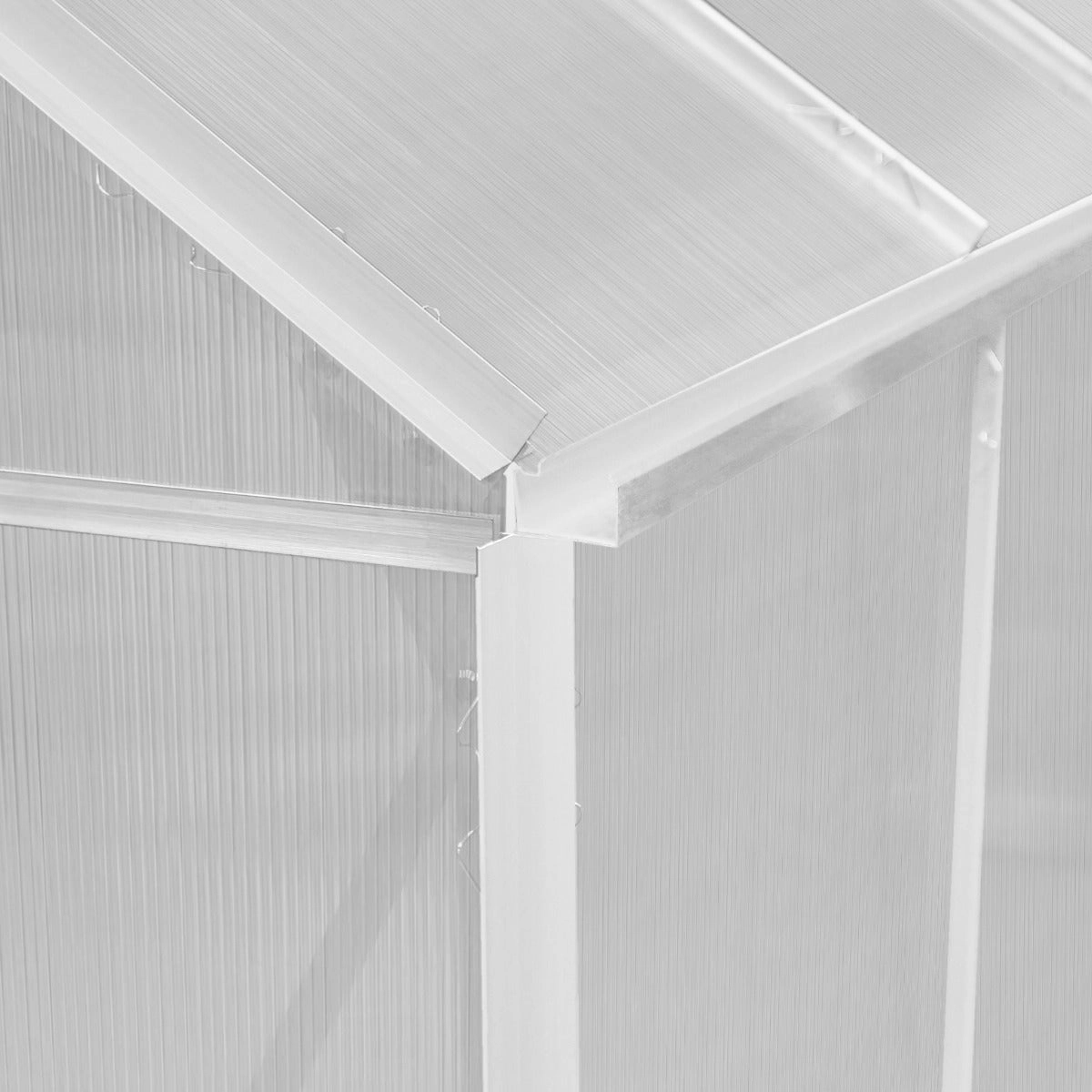 Polycarbonate Greenhouse 6ft x 8ft  Silver