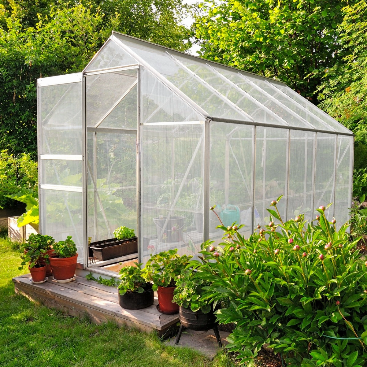 Polycarbonate Greenhouse 6ft x 8ft  Silver