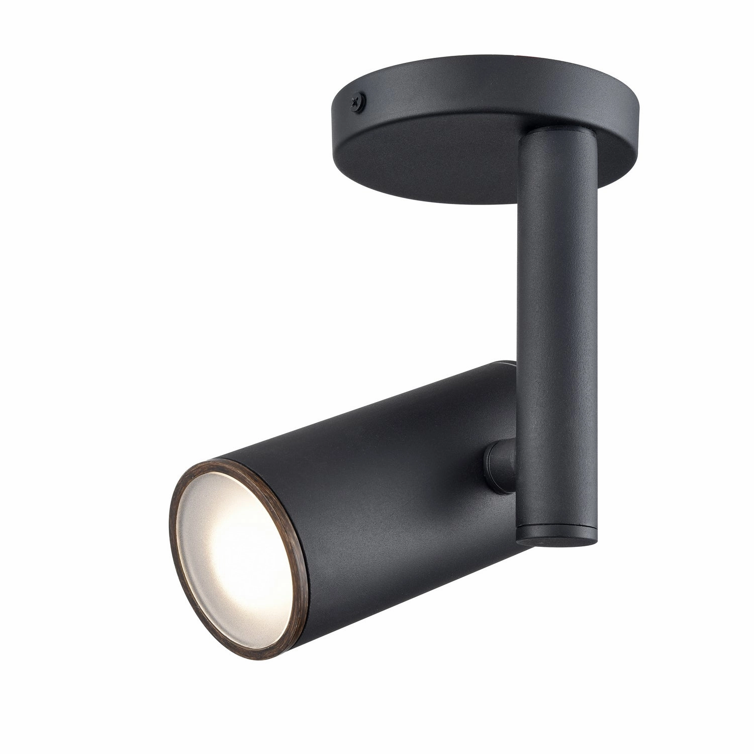 Pond Inlet 1 Light Outdoor Flush Mount