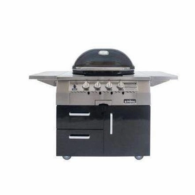 Primo All-In-One Oval G 420 Ceramic Gas Grill PGG420C (Cart-Mounted) professional outdoor BBQ grill set