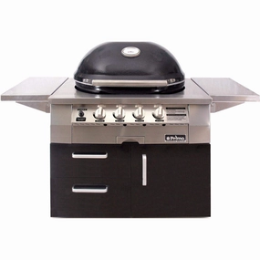 Primo All-In-One Oval G 420 Ceramic Gas Grill PGGXLC (Cart-Mounted) stainless steel BBQ grill with side table