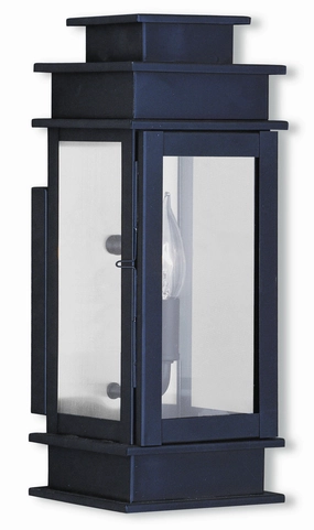 Princeton One Light Outdoor Wall Lantern Bronze w/ Polished Chrome Stainless SteelOutdoor wall sconces with motion sensor