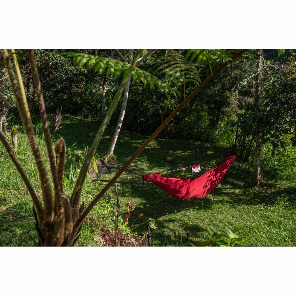 Pro Hammock