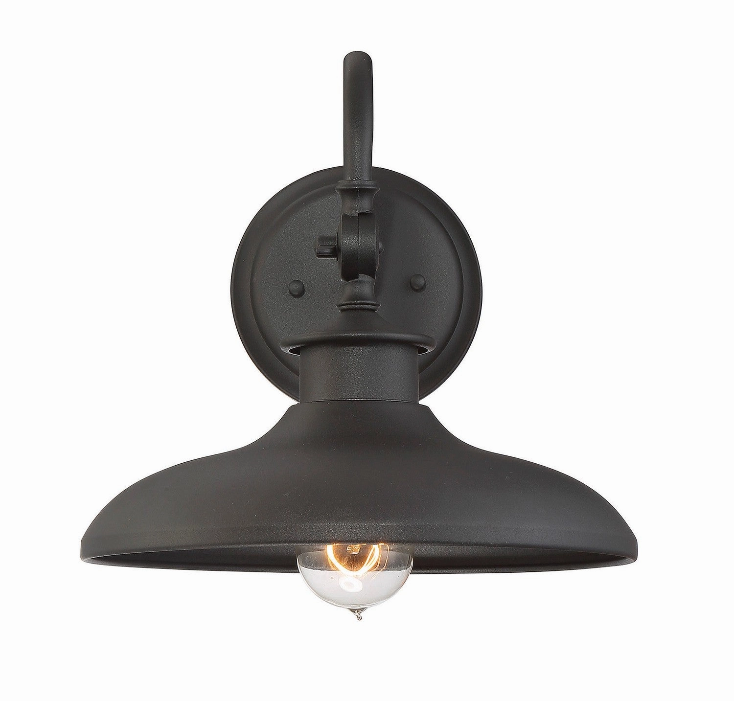 Raleigh One Light Wall Mount Black