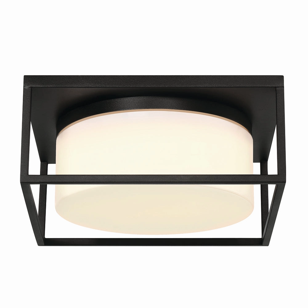 Ren 13" 2 Light Outdoor Ceiling Light
