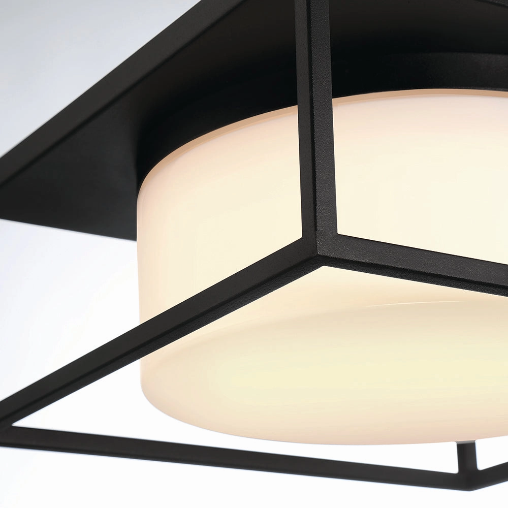 Ren 13" 2 Light Outdoor Ceiling Light