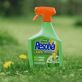 Resolva Lawn Weedkiller RTU 1 Litre premium quality garden tool set with case